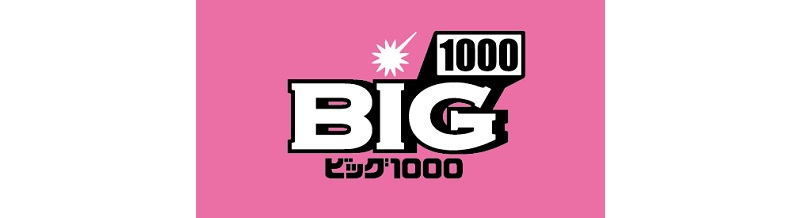 BIG1000の基礎知識