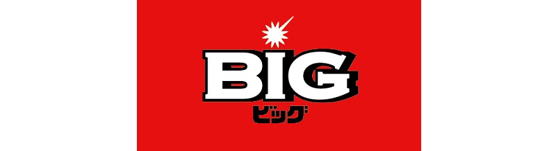 BIGの基礎知識
