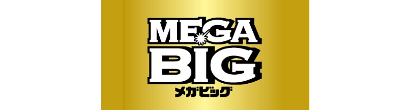 メガBIGの基礎知識