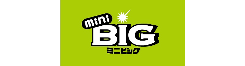 miniBIGの基礎知識